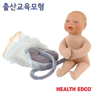 HEALTH EDCO USA HE816 출산교육모형 태아,태반,태줄,골반