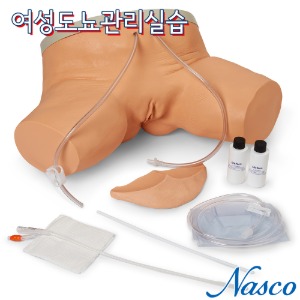 NASCO USA 도뇨관리실습모형 LF00856 여성카테터실습