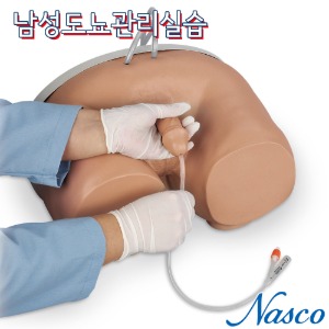 NASCO USA 도뇨관리실습모형 LF00855 남성카테터실습