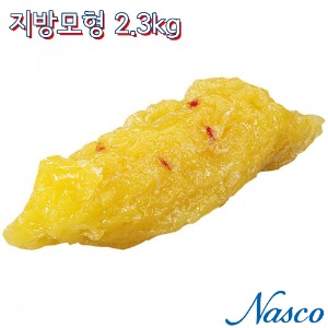 NASCO USA 실제와 유사한 지방모형 WA04313U 5파운드 2.3kg 지방덩어리
