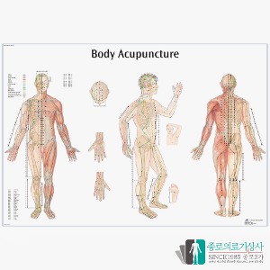 3B Scientific 전신 경혈점 인체해부차트 VR1820 Body Acupuncture 병원액자