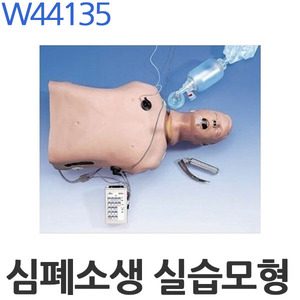 심폐소생 실습모형 W44135 응급구조 인체모형 CPR모형