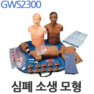 심폐소생모형 성인상반신 GWS2300 인체모형 실습모형