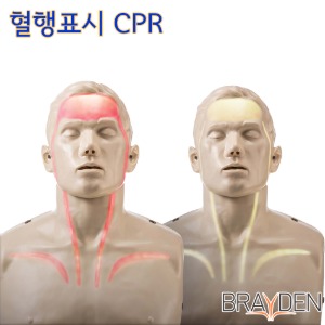 브레이든 국산 CPR 마네킹 IM13 혈행표시형 심폐소생술훈련