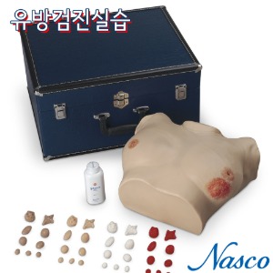NASCO USA 여성 유방검사 촉진 실습모형 LF00980 유방검진모형