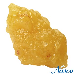 NASCO USA 실제와 유사한 지방모형 WA14533 1파운드 0.5kg 지방덩어리