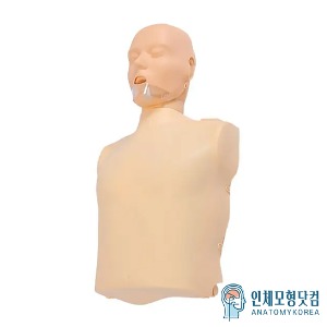 기본형 심폐소생술마네킹 CPR실습 에어맨 AIR-MAN