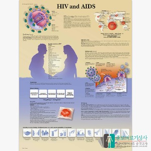 3B Scientific 에이즈의 이해 인체해부차트 VR1725 HIV AIDS 병원액자